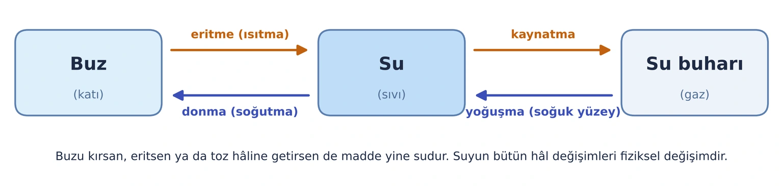 Buz, su ve su buharı kutuları arasında eritme, donma, kaynatma ve yoğuşma okları.