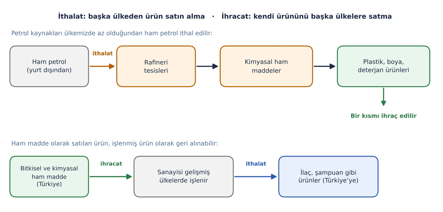 İki akış: ithal edilen ham petrol rafineride işlenip plastik, boya ve deterjan ürünlerine dönüşüyor, bir kısmı ihraç ediliyor; ihraç edilen bitkisel ham madde yurt dışında işlenip ilaç ve şampuan olarak geri alınıyor.